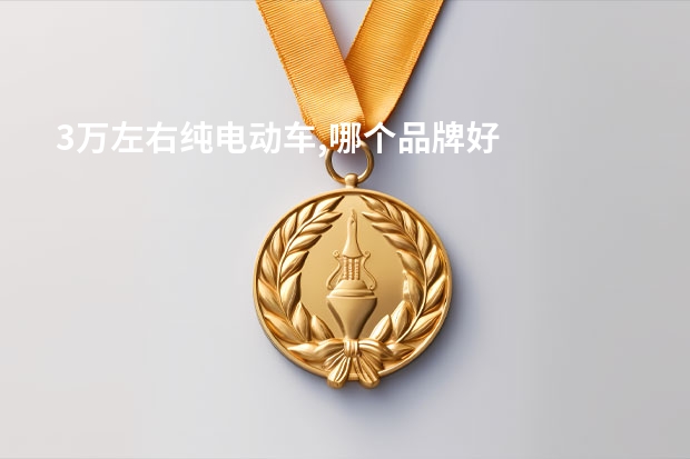 3万左右纯电动车,哪个品牌好