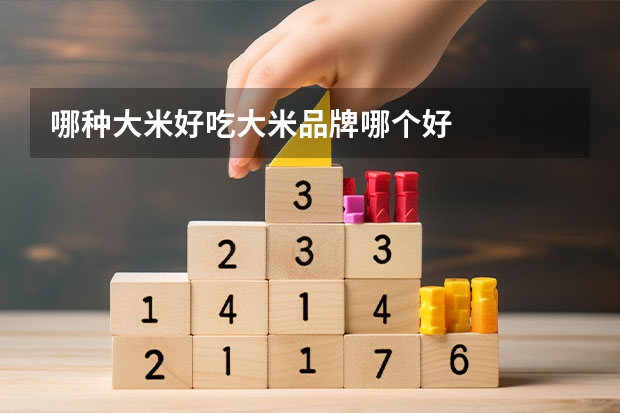 哪种大米好吃大米品牌哪个好