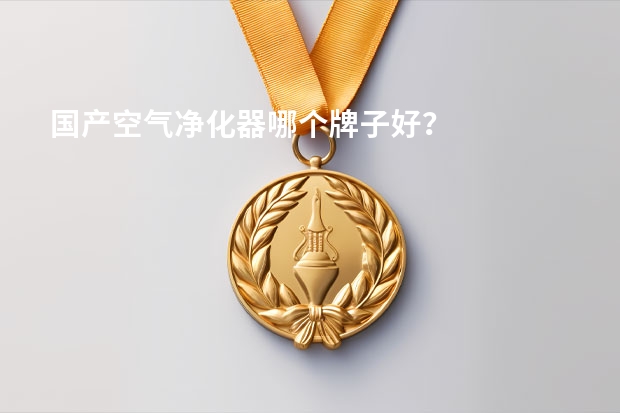 国产空气净化器哪个牌子好？