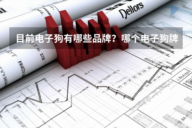 目前电子狗有哪些品牌？哪个电子狗牌子比较出名