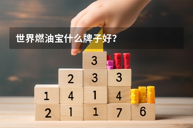 世界燃油宝什么牌子好？