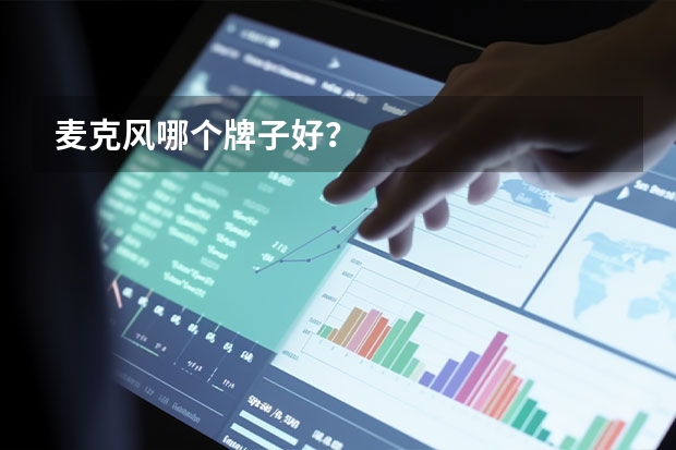 麦克风哪个牌子好？