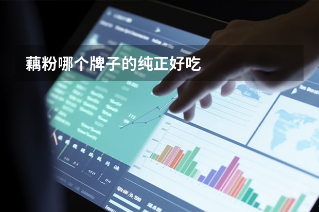 藕粉哪个牌子的纯正好吃