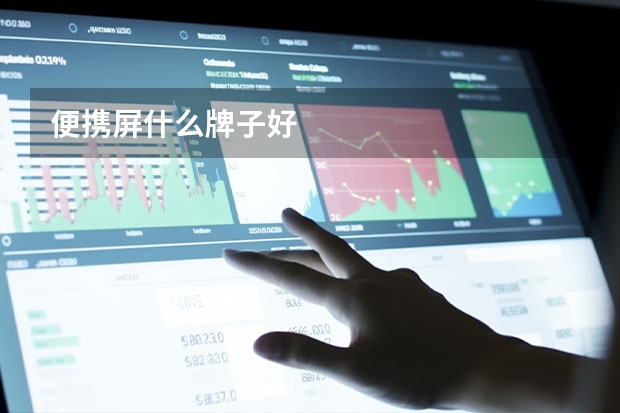 便携屏什么牌子好