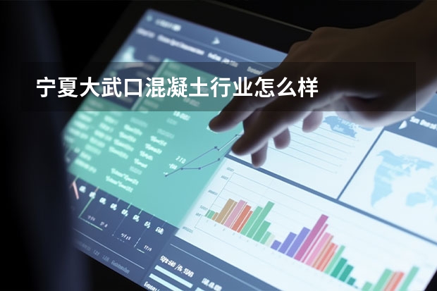 宁夏大武口混凝土行业怎么样