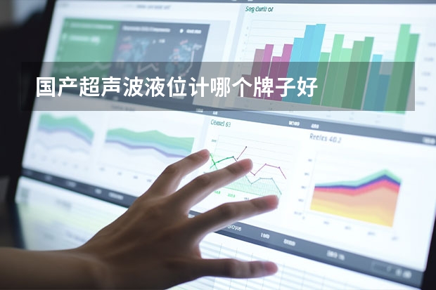 国产超声波液位计哪个牌子好