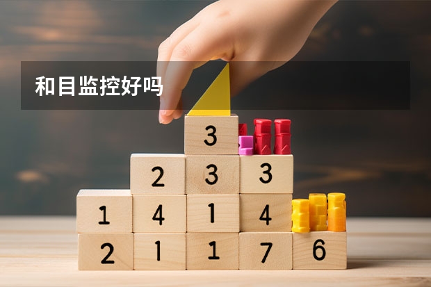 和目监控好吗