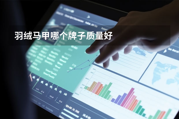 羽绒马甲哪个牌子质量好
