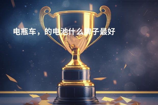 电瓶车，的电池什么牌子最好