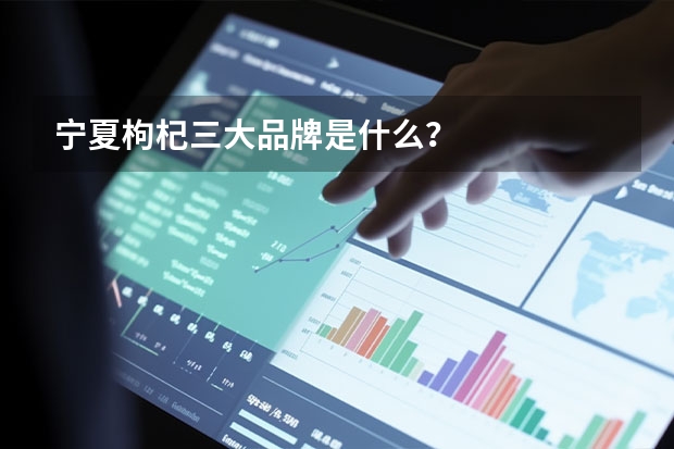 宁夏枸杞三大品牌是什么？