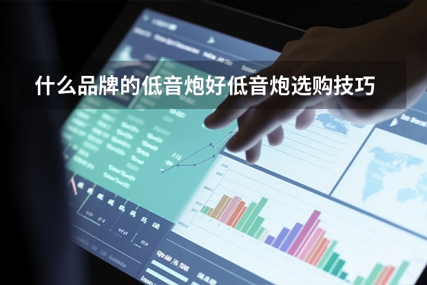 什么品牌的低音炮好低音炮选购技巧