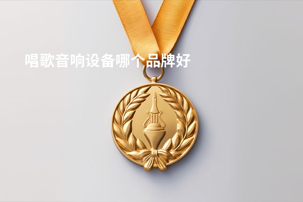 唱歌音响设备哪个品牌好