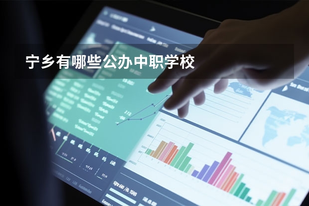 宁乡有哪些公办中职学校