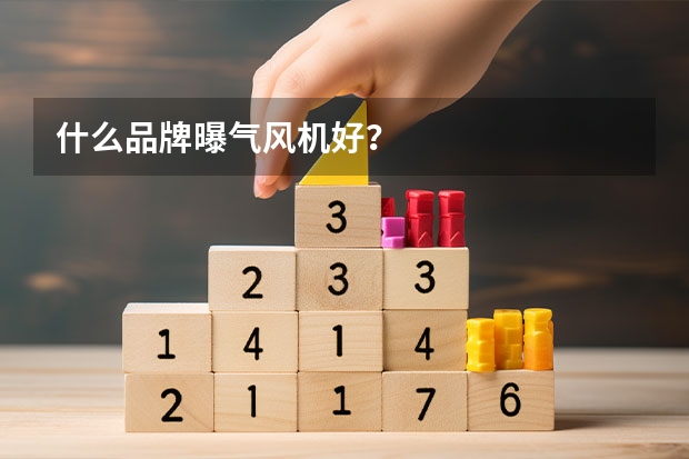 什么品牌曝气风机好？