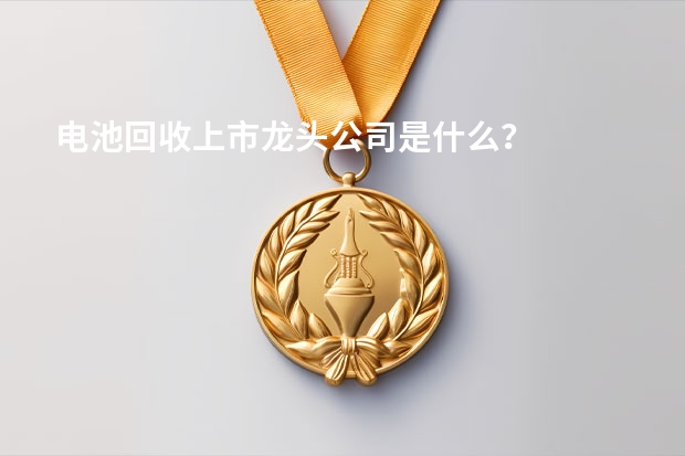 电池回收上市龙头公司是什么？