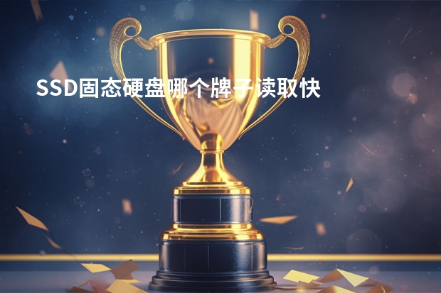 SSD固态硬盘哪个牌子读取快