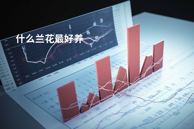 什么兰花最好养