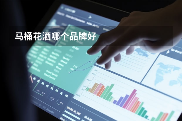 马桶花洒哪个品牌好