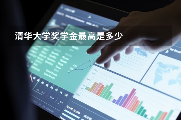 清华大学奖学金最高是多少