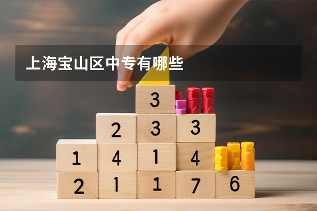 上海宝山区中专有哪些