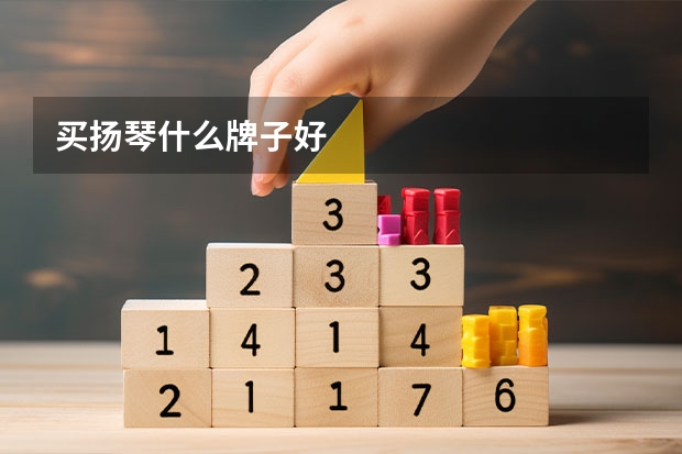 买扬琴什么牌子好