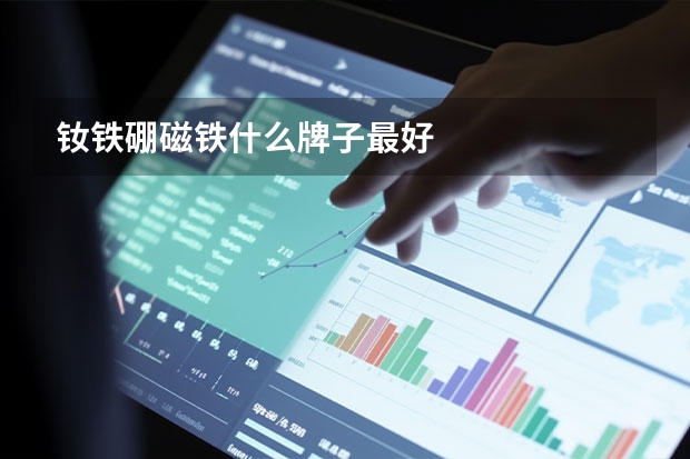 钕铁硼磁铁什么牌子最好