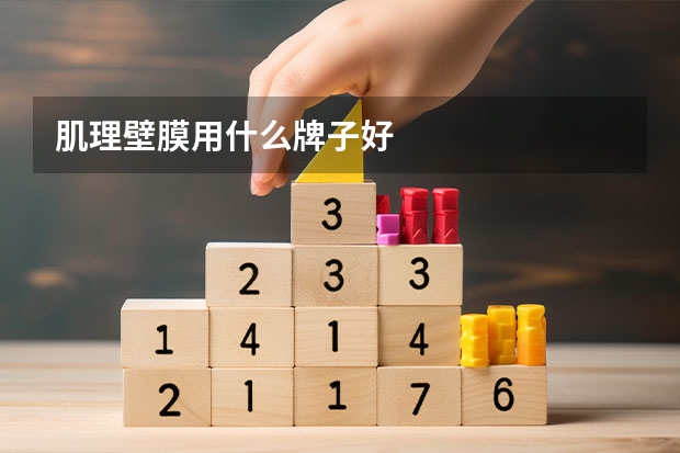 肌理壁膜用什么牌子好