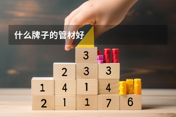 什么牌子的管材好