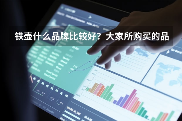 铁壶什么品牌比较好？大家所购买的品牌是？