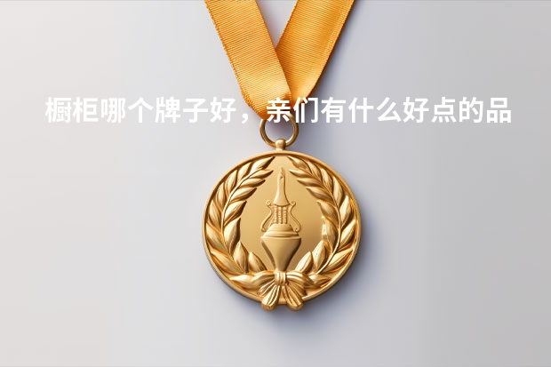 橱柜哪个牌子好,亲们有什么好点的品牌推荐吗
