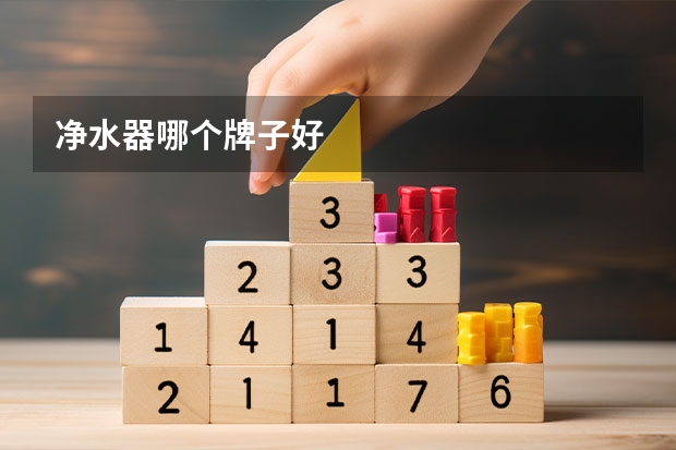 净水器哪个牌子好